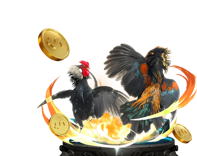 Video Slot hiện đại mksport link vào